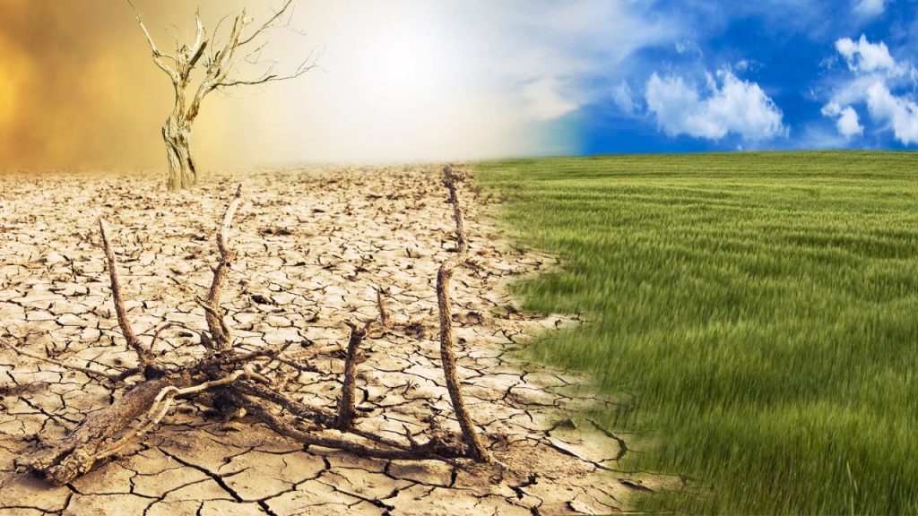 שינויי האקלים מאיימים על הביטחון התזונתי?