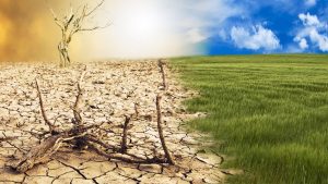 שינויי האקלים מאיימים על הביטחון התזונתי?