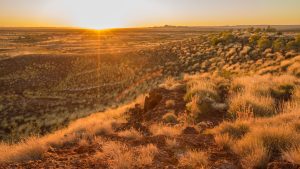 Ariel malik - Northern Australia